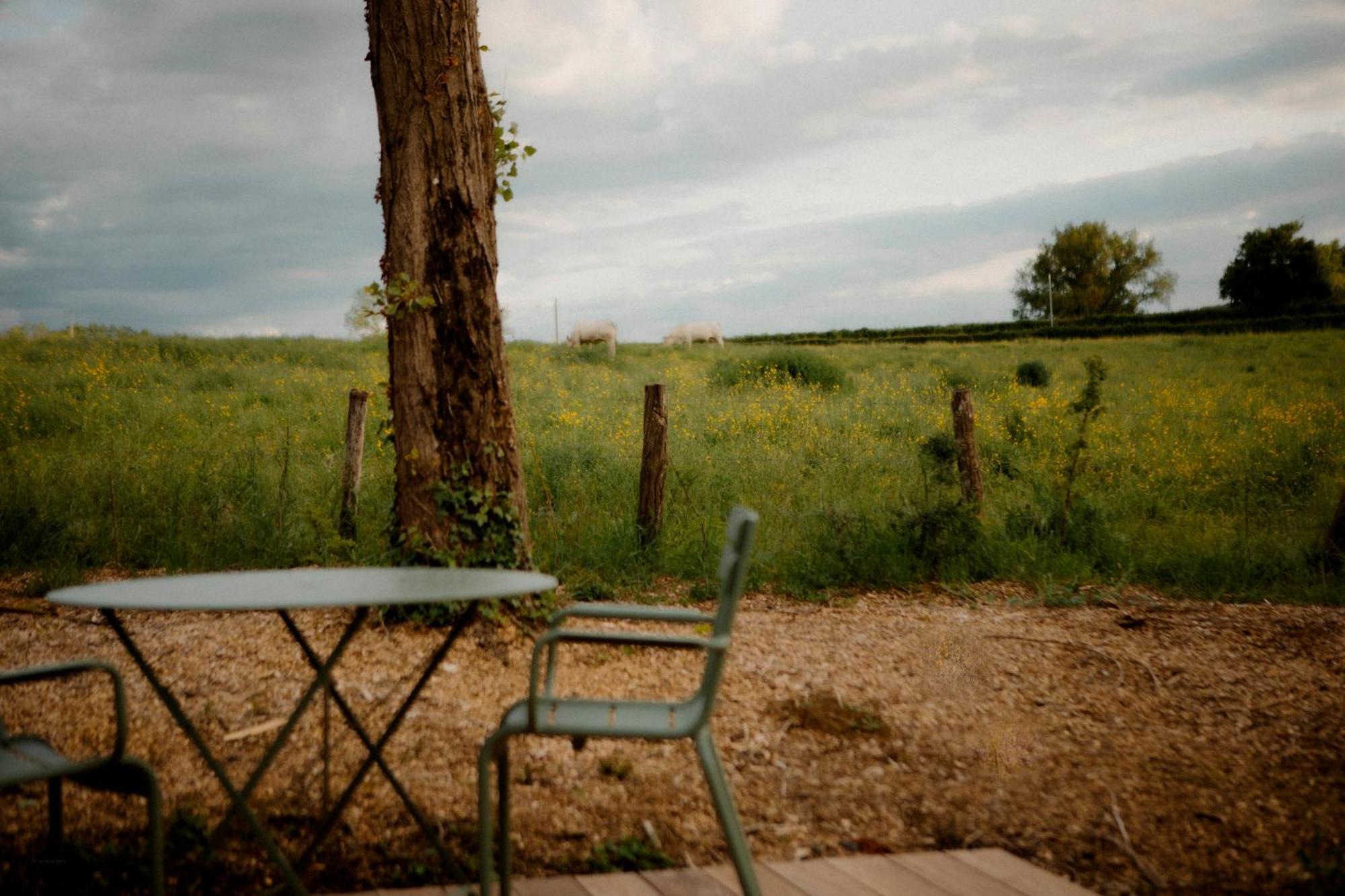 La Suite Nature By Lumipod X Tomette Singuliere Chateau  Exterior foto